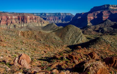 Scrambling Between Surprise Valley And Esplanade In Grand Canyon National Park, AZ