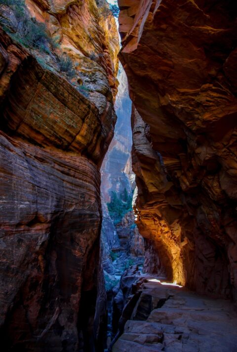 Shadow And Light In Echo Canyon, On Trail To Observation Point In Zion National Park, UT