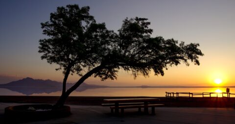 Sunrise At Salt Flats Rest Area, UT