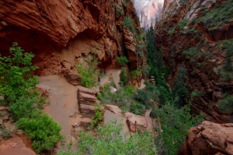 Switchbacks In Refrigerator Canyon Are Part Of Trail To Angels Landing, Zion National Park, UT