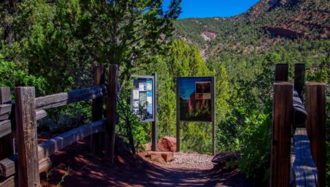 Taylor Creek Trailhead In Kolob Canyon Section Of Zion National Park, UT