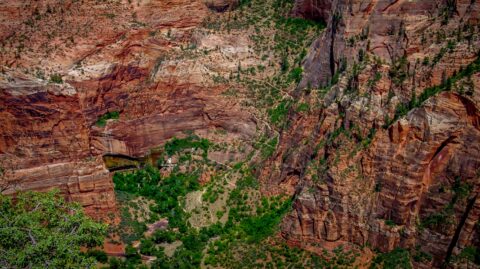 Tiny Line Of Switchbacks Near Weeping Rock Towards Observation Point In Zion National Park, UT