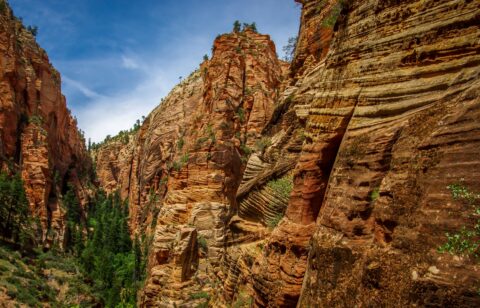 Trail Partly Goes Through Refrigerator Canyon To Angels Landing In Zion National Park, UT