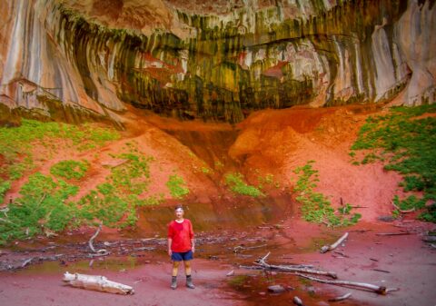 rrasha Under Double Arch Alcove At The End Of Taylor Creek Trail In Kolob Canyons Section Of Zion National Park, UT