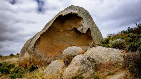 Another Natural Rock Sculpture On Granite Island, Victor Harbour, SA Australia