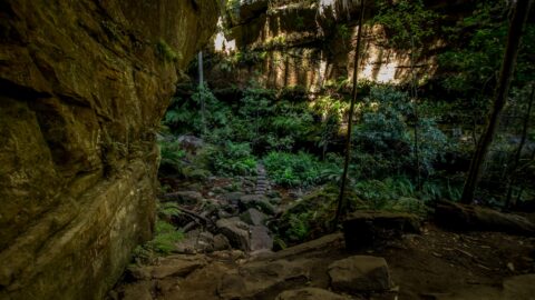At The Bottom Of Grand Canyon Trail, Blue Mountains, NSW, Australia