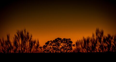 Burning Sunset At Uluru, NT, Australia