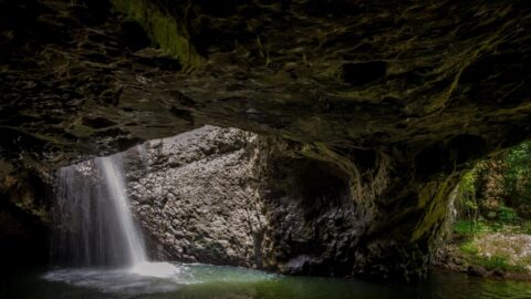 Cave And Waterfall In Springbrook National Park Near Brisbane, QLD, Australia