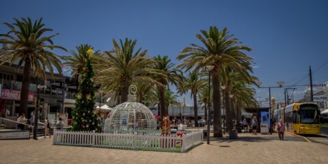 Christmas Decoration In Holfast Bay, SA, Australia