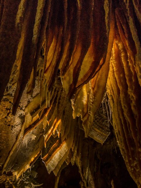 Detail From Lush Orient Cave, Jenolan Caves, Blue Mountains, NSW, Australia