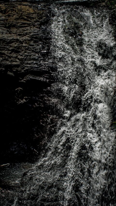 Detail Of Waterfall In Springbrook National Park Near Brisbane, QLD, Australia