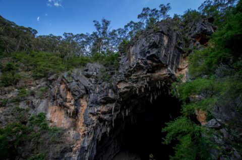 Devils Coach House (With Bats) Near Jenolan Caves, Blue Mountains, NSW, Australia