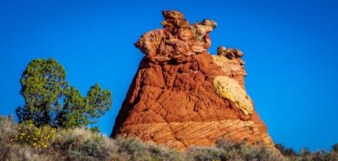 Do You Really Want To Take Off? South Coyote Buttes, AZ