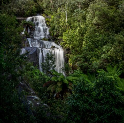 Fainter Falls On Mount Beauty, Australian Alps,VIC, Australia
