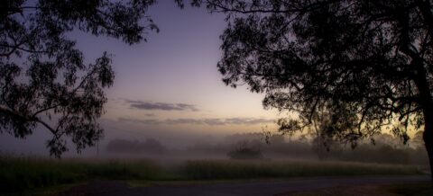 Foggy Morning On Rest Area In Mountains Near Brisbane, QLD, Australia