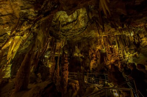 Group Of Tourists In Orient Cave, Jenolan Caves, Blue Mountains, NSW, Australia