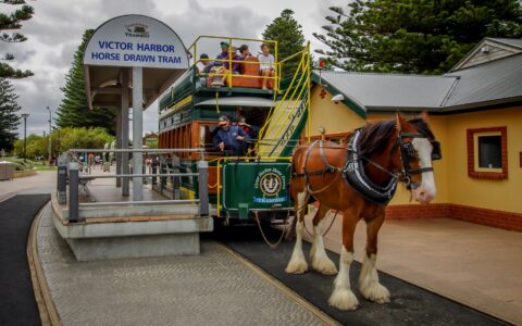 Horse Drawn Tram Across The Bridge Between Victor Harbour And Granite Island, SA, Australia