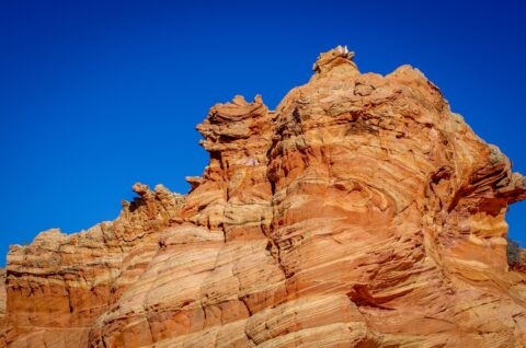 I Don’t Know What It Is But I Like It, South Coyote Buttes, AZ