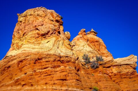 “King Lion” South Coyote Buttes, AZ