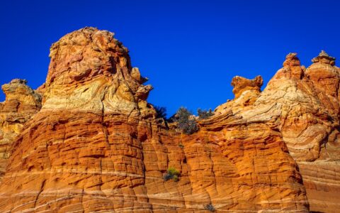 “Lion And His Company” In South Coyote Buttes, AZ