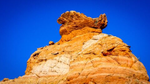 “Little Red Rooster” In South Coyote Buttes, AZ
