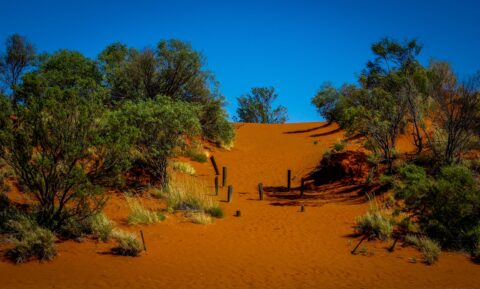 Mount Conner Lookout On The Road From Erldunda Roadhouse To Uluru, NT Australia