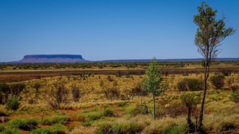 Mount Conner Visible From The Road Between Erldunda Roadhouse And Uluru, NT, Australia