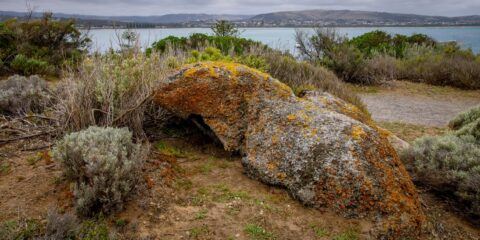 Natural Rock Sculpture On Granite Island, Victor Harbour, SA, Australia