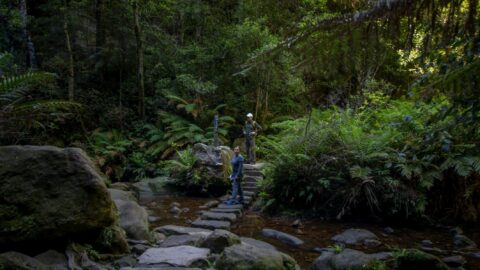 Ognjenka And Ranko On Grand Canyon Trail, Blue Mountains, NSW, Australia