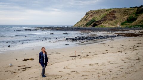 Ognjenka On The Shore, Hours Before Penguin Parade On Phillip Island,VIC, Australia
