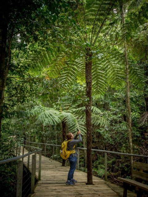 Ognjenka Taking Photos On The Walkway In The Scenic World, Blue Mountains, NSW, Australia