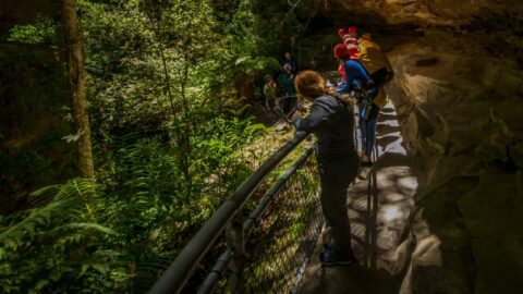 Ognjenka Watching Group Ready For Technical Canyoneering In Grand Canyon, Blue Mountains, NSW, Australia