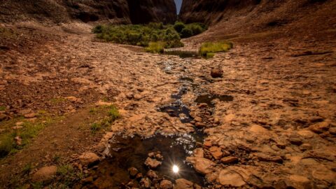 On The Trail To Wapta Gorge, Kata Tjuta, NT, Australia