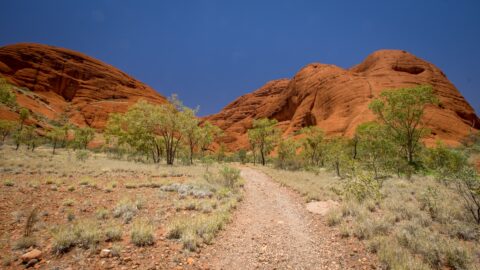 One Kilometer Remains To Close The Loop On The Valley Of The Winds Trail, Kata Tjuta, NT, Australia