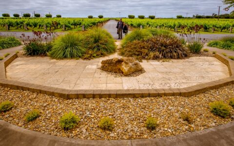 Ranko And Ognjenka In Front Of Wynns Coonawarra Estate, SA, Australia