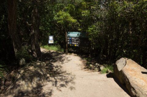 Trail Towards Wentworth Falls Blue Mountains, NSW, Australia