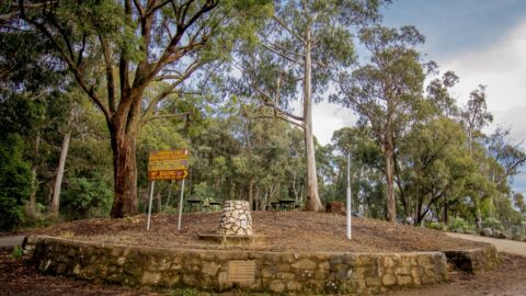 Rest Area In Australian Alps Near Bright, VIC, Australia