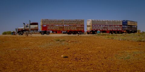 Road Train On Rest Area, Stuart Highway Northbound, SA, Australia
