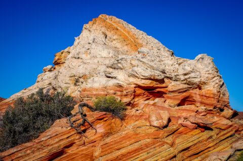 “Sleeping Dragon” In South Coyote Buttes, AZ