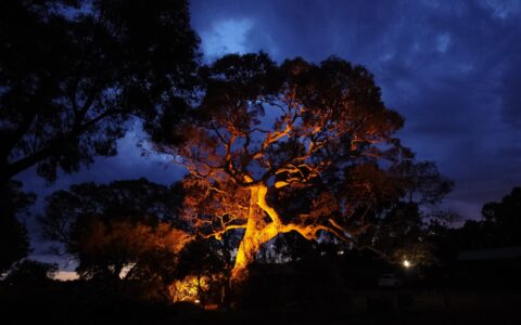 Sunset In South Grampiens Cottages, Dunkeld, Grampiens National Park, VIC, Australia