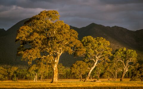 Sunset On Scenic Byway Near Dunkeld, Grampiens National Park, VIC, Australia