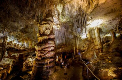 Tantanoola Caves, SA, Australia