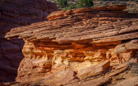 Under One Cap, South Coyote Buttes, AZ
