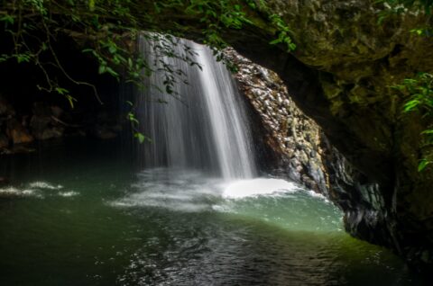Waterfall In Springbrook National Park Near Brisbane, QLD, Australia