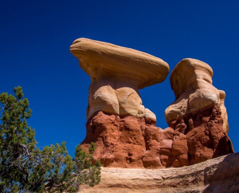 ♫ There Are Two Together… In Devils Garden, Grand Staircase Escalante National Monument, UT