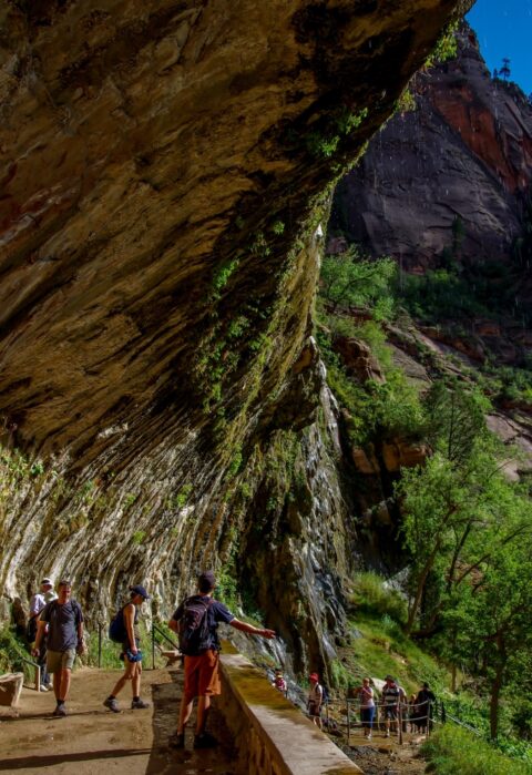 Almost Dry Weeping Rock In Zion National Park, UT
