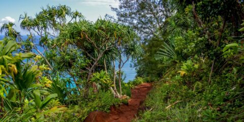 Beginning Of Famous Kalalu Trail Along West Shore Of Kauai Island, HI