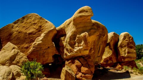 Bird Head Shaped Rock In Devils Garden National Monument, UT