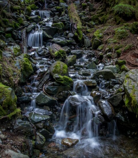Cascades Near Rainbow Lake Trailhead, Whistler, BC