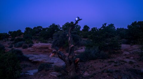 Catch Moon At Sunrise Near Jarda’s Mushroom, Long Canyon, Moab, UT